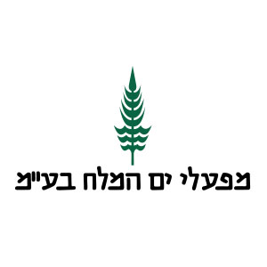 logos7
